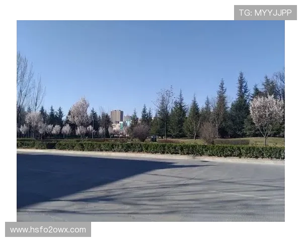 滑板人生的轨迹与梦想黄敏的成长故事与心路历程