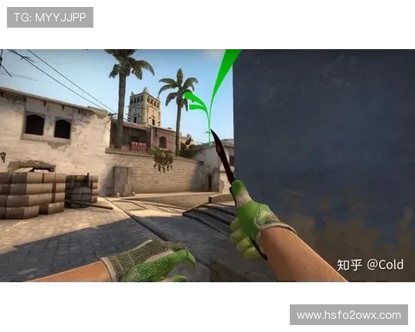 CSGO盛宴揭秘WE战队的技术实力与战术策略分析