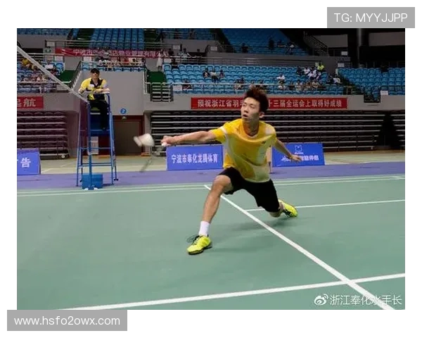 南京羽毛球队在精英赛中的状态分析与表现评估