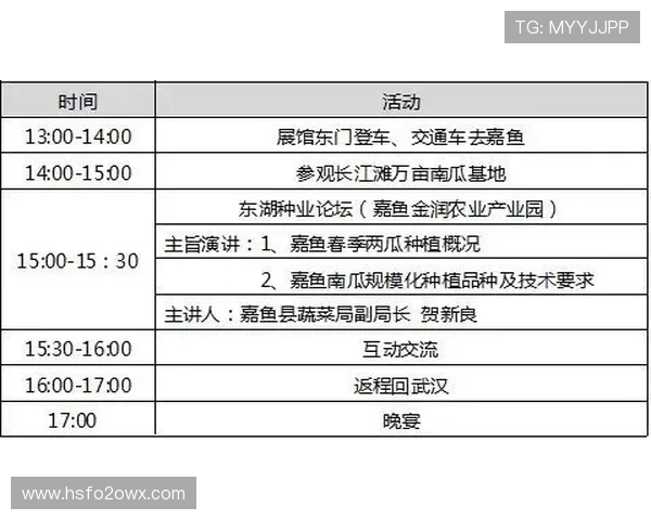 武汉极限运动队的盯防策略分析与成效评估探讨